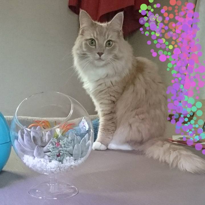 A6c12cc4 9fe6 43d8 b334 94b7cf25d6cb