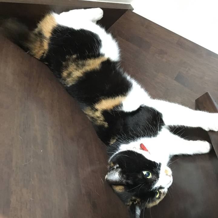 A6c20f00 7e34 4705 bd8d 4f613cd78057