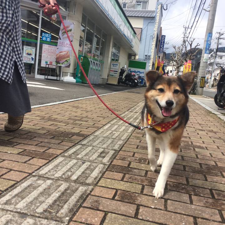 A6c21d46 5d5e 4a89 825f 0522ffcda82c