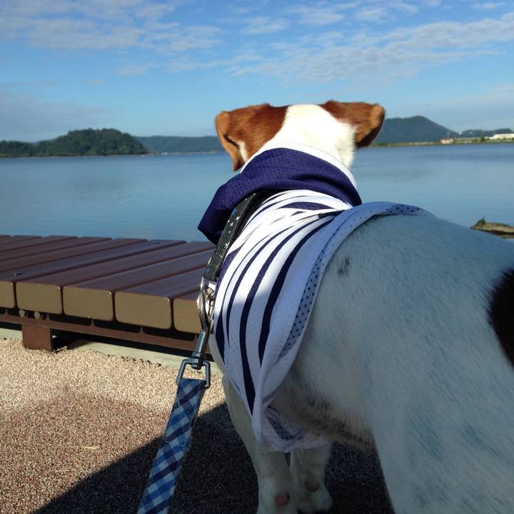 A6c2ad45 5847 45b8 9e03 88b88d410feb