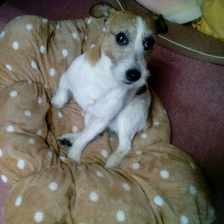 A6c2c09e aec4 484b 8561 0e2d29997e76