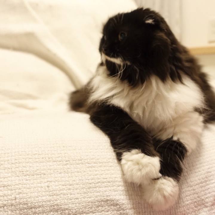 A6c2ddfe 2bb4 410e b31f 9d60a8f57d89