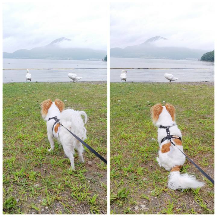 A6c311da 1759 48d4 ab17 a598b9858686