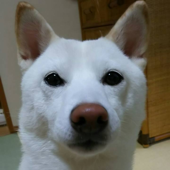 A6c3537e cdd2 4e2b bc08 12be3ef6c7a8