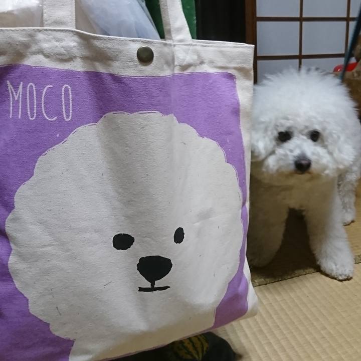 A6c40101 018b 4bd4 b400 ee050a5cb650