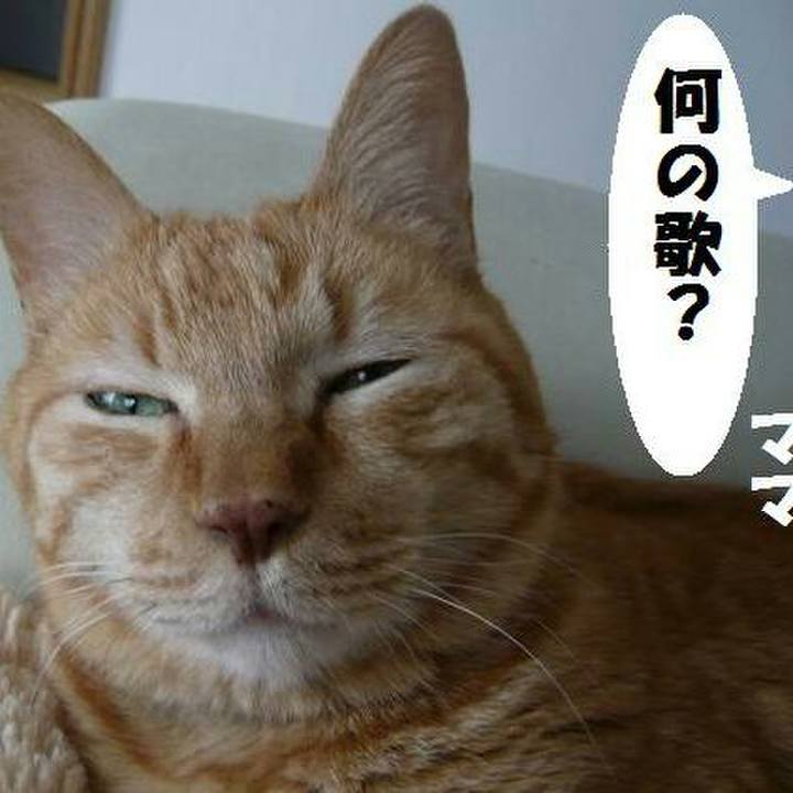 A6c47845 7c79 4eb0 ad29 e7388d3be2ff