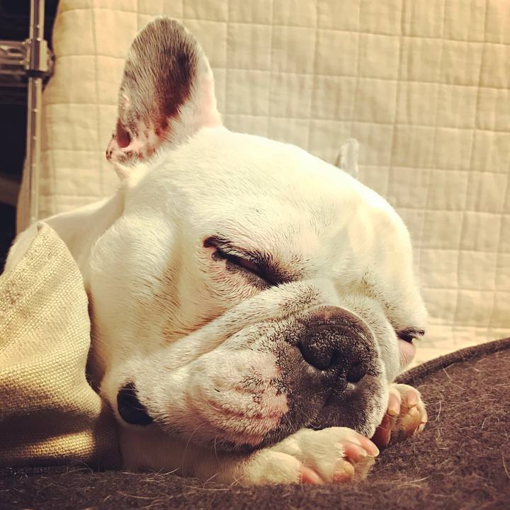 A6c483ea 09e1 445b a7bb 18ccdf5b55b0