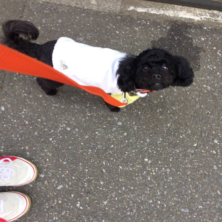 A6c4966d 8e27 42b9 9d29 19b0615b57be