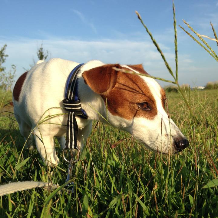 A6c4ea08 adbf 45f2 be43 bf891c82ac08