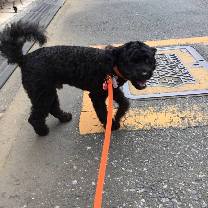 A6c4ff00 28a6 4827 ae79 5c1f5c7798e6