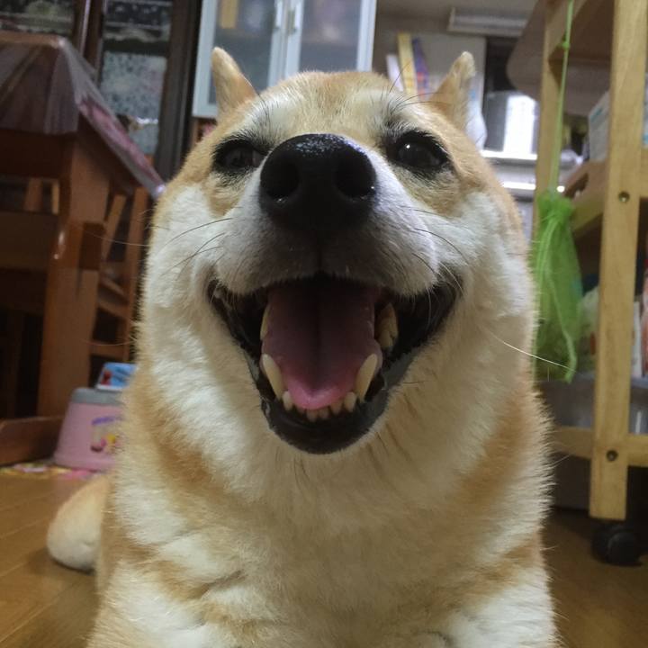 A6c574a2 ca6a 4c37 aae7 afbe2140f908