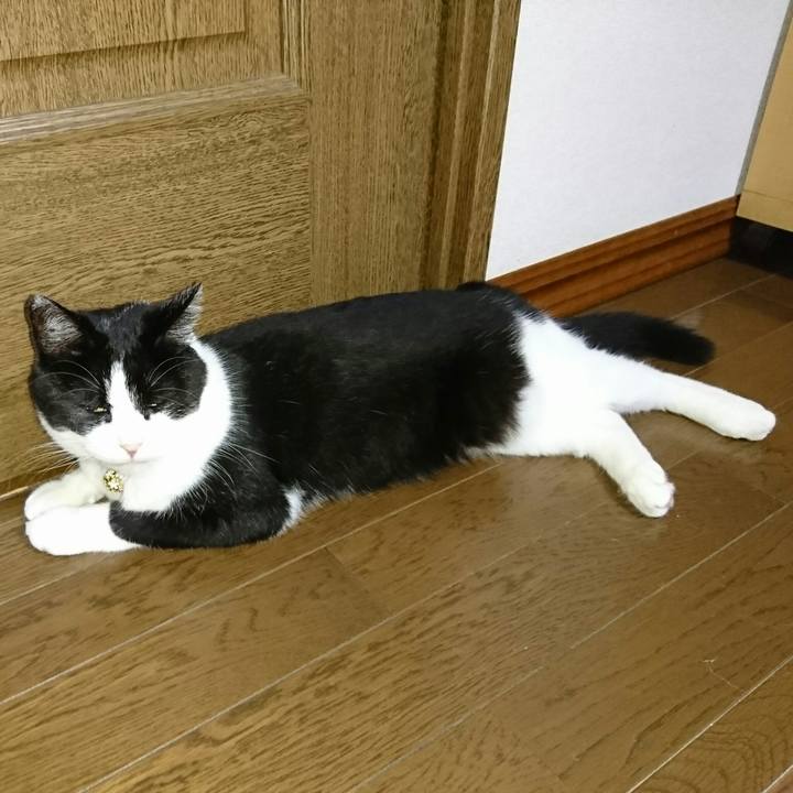 A6c60500 3021 401f b77a 58332cb1cd54