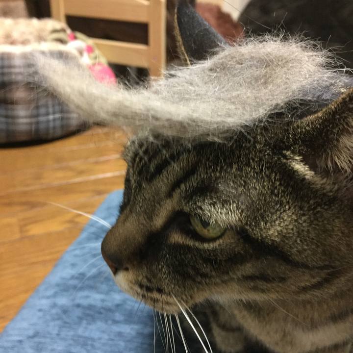 A6c624ed c0b3 4407 82a4 fc8136c4bf79