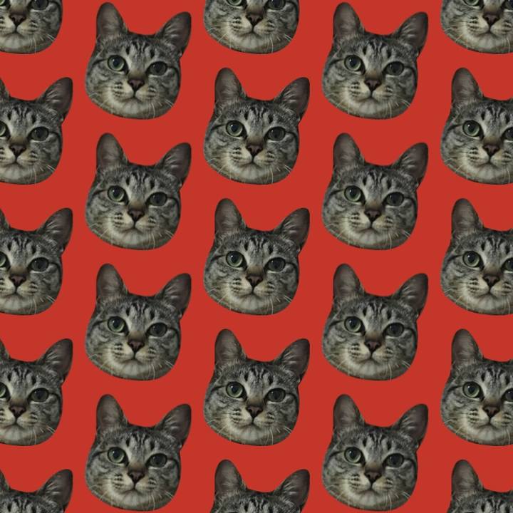 A6c71074 3c94 45ac a6d6 713f884351e6