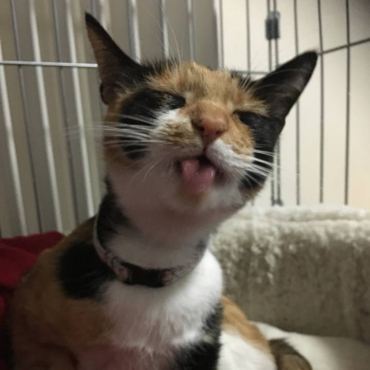 A6c778f3 ede3 4b0a 9c1a da3b23a4a635