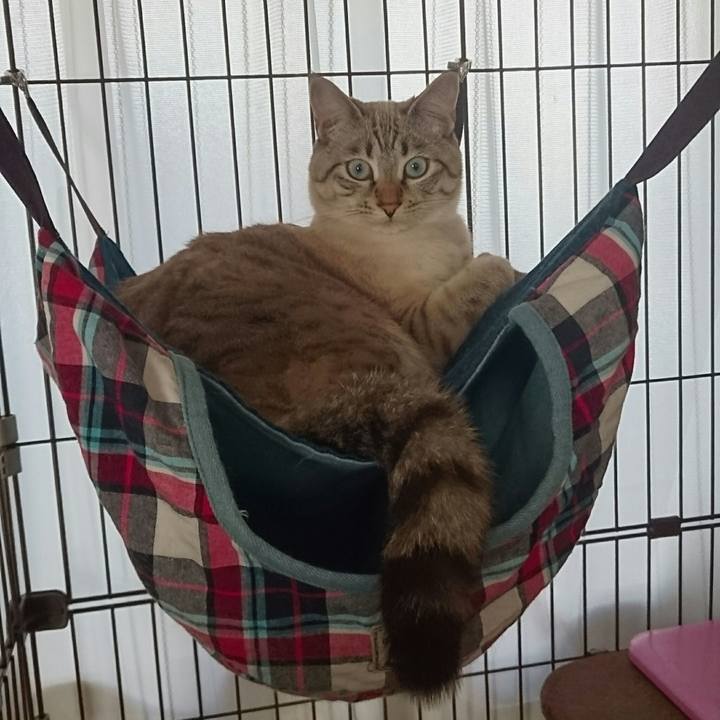 A6c83bc3 8fb7 40e5 9819 ae9ef5429f7b