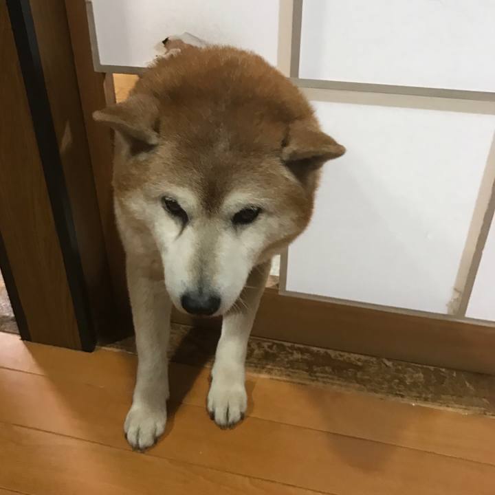 A6c90964 7063 4101 a1fd 7fa34ba9c1bb