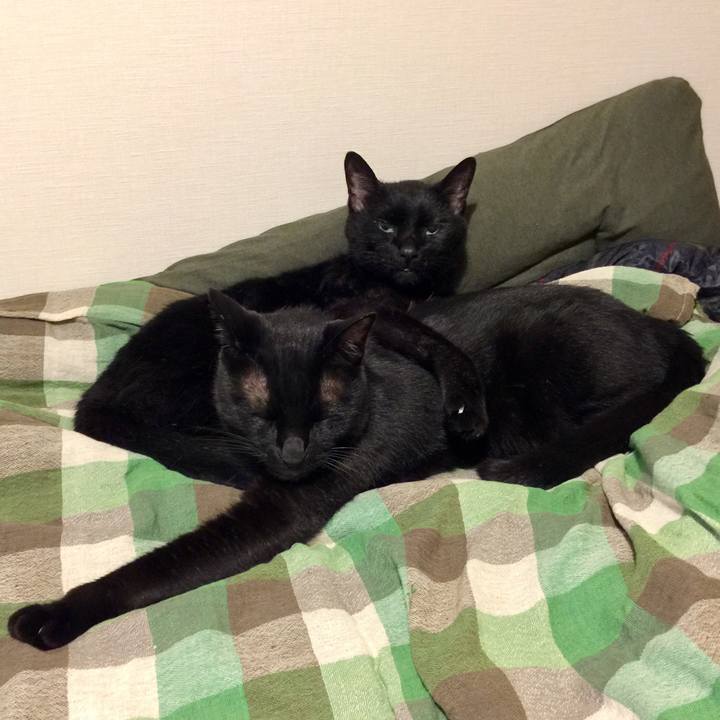 A6c9aba5 752a 40f0 a2b3 4c0de58d852f