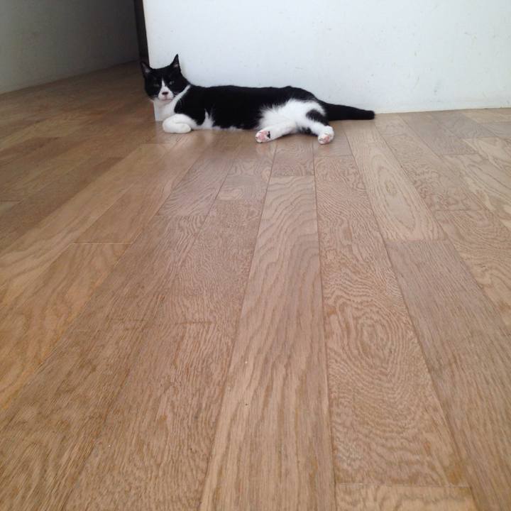 A6c9c45a 27ca 47f3 b9de 2828e40bb360