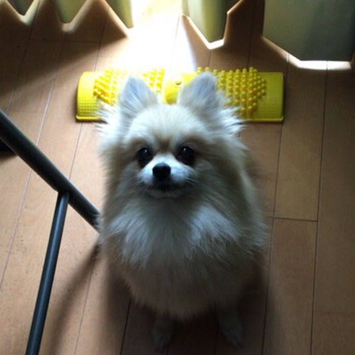 A6ca8e00 1fff 4da4 a40d cded6b2a1cc0