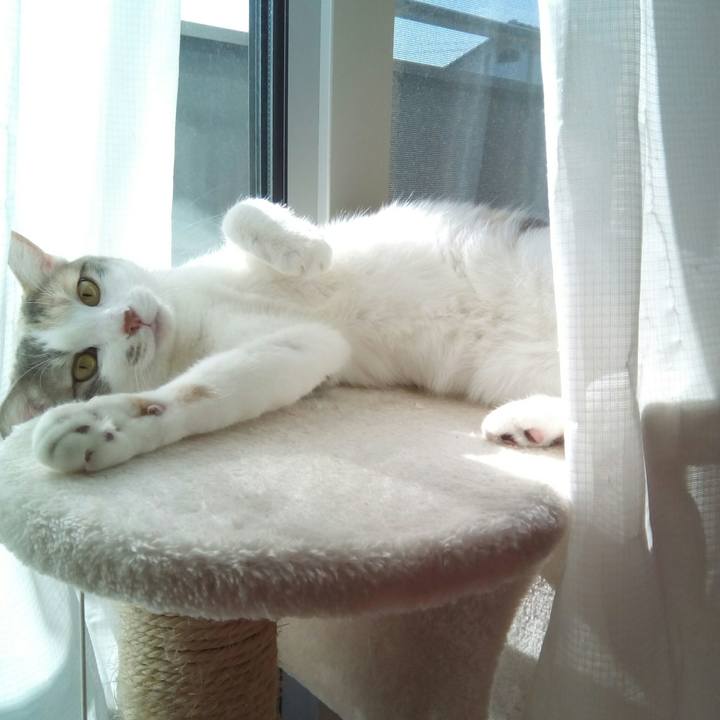 A6cb45af 333f 4be1 8bc6 ac6dfe81b122