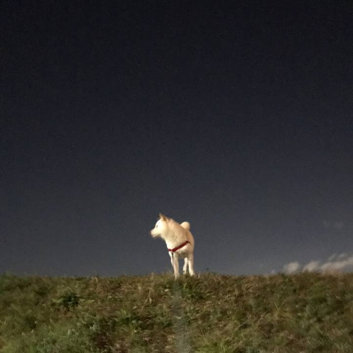 A6cb7fbc f0fa 4b98 9ad8 40cbed284ec7