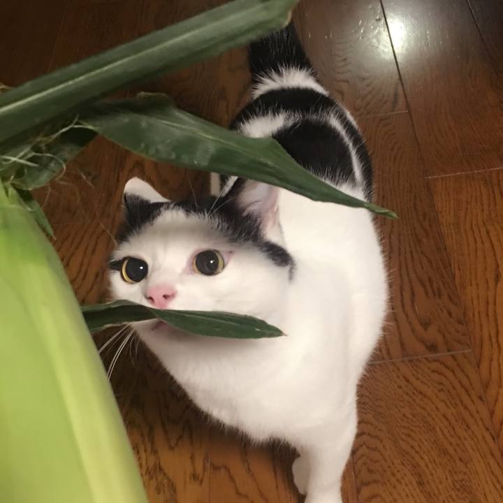 A6cb84d9 5d8c 41ff 90f2 ba4f78efe3df