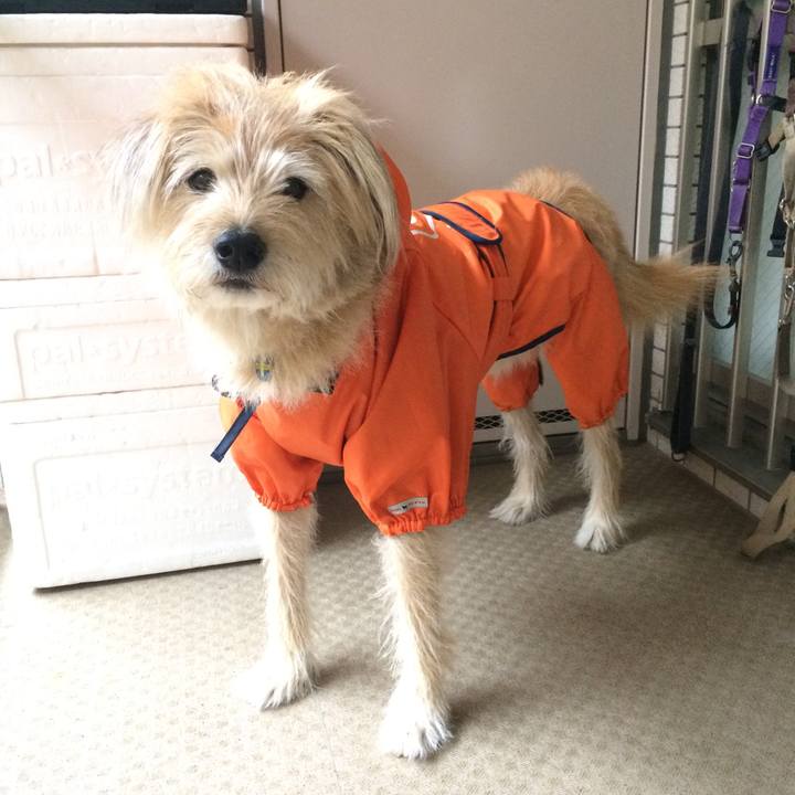 A6ccbe4e bcb7 46d7 8724 85b715ffe003