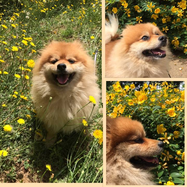 A6cce2a4 f289 4662 aa13 e254126f8466