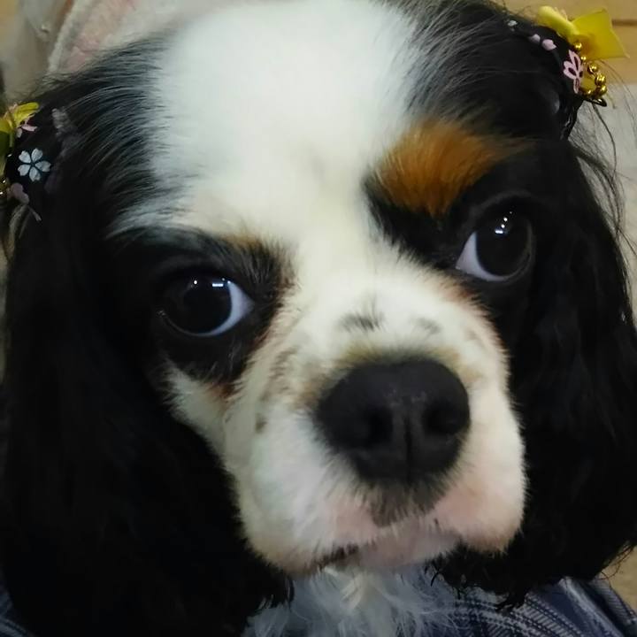 A6cd517f 97a0 4d5f b1eb b6f18f4b6002