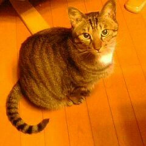 A6cdcc6f a2c8 4124 8a55 8b9553d6cbff