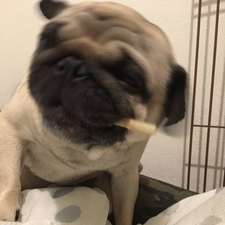 A6ce1dcb b75e 4524 89b5 8e14a6308722