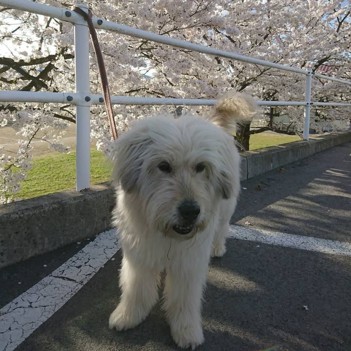 A6ce750b 836b 49e4 be99 e9f48e33a0fd