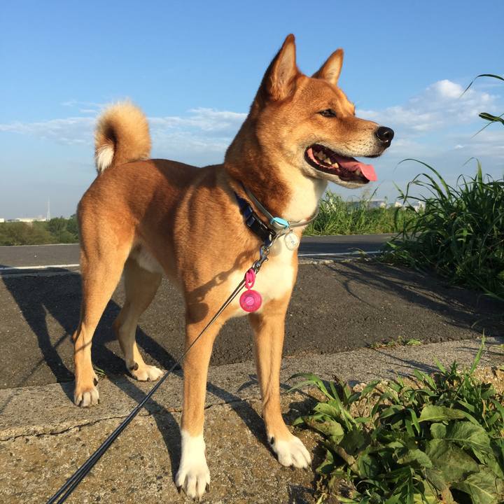 A6cefe15 bfdd 45ca 8023 bee23edd5b6d