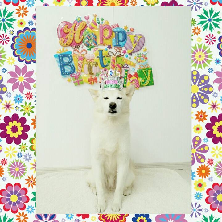 A6cfeb2a 07fa 4b5a 947d 7e5d42c75da2