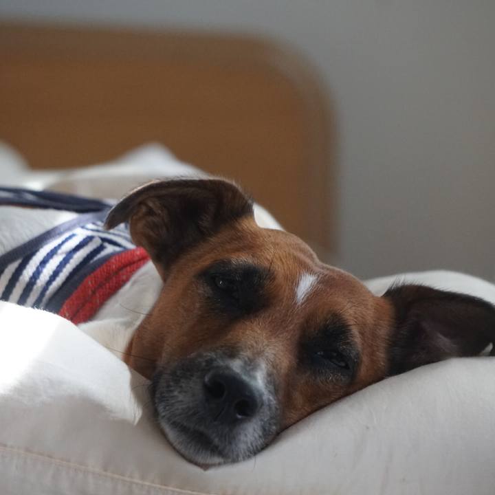 A6d0026d ce88 47cb a740 4175f8609ff5