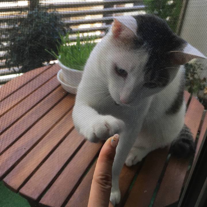 A6d08107 c8c9 45bb b9dd 4509cc7f8bc5