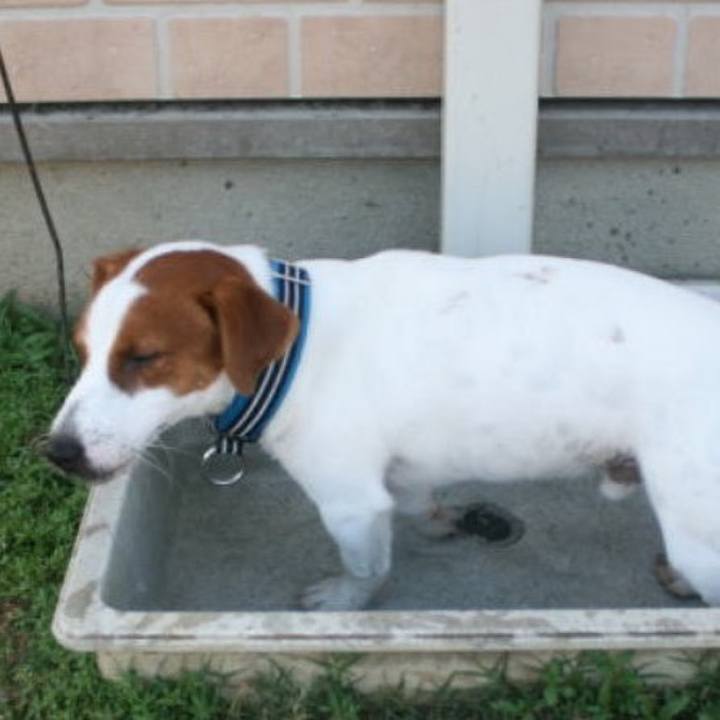 A6d0b594 c15a 459f 88f3 78f903ca9cb1