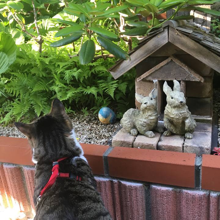 A6d0d955 e05a 45a5 921e 527c7ce76064