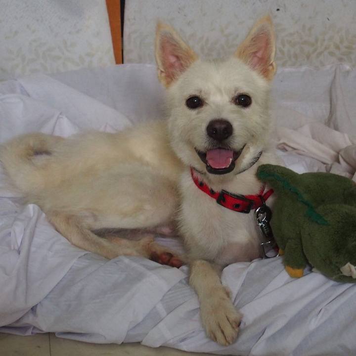 A6d14b93 dbb9 41f8 9de7 af51343acabe