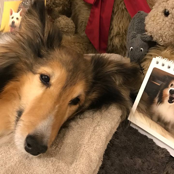 A6d15399 ea7c 4e28 91e1 5ac2bdd99480