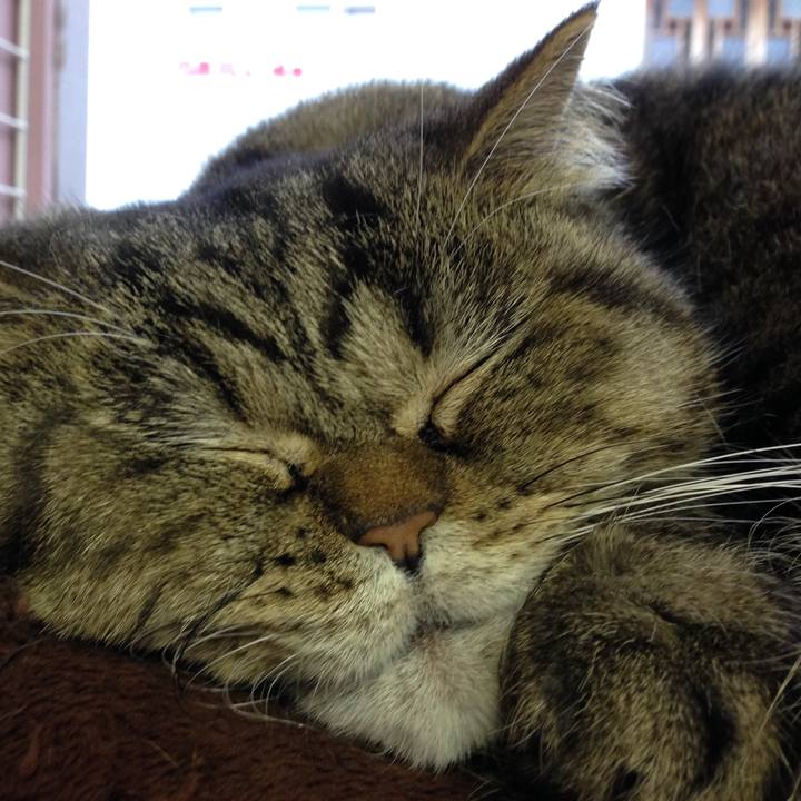 A6d1b864 5395 4465 a3ea dbb595a47975