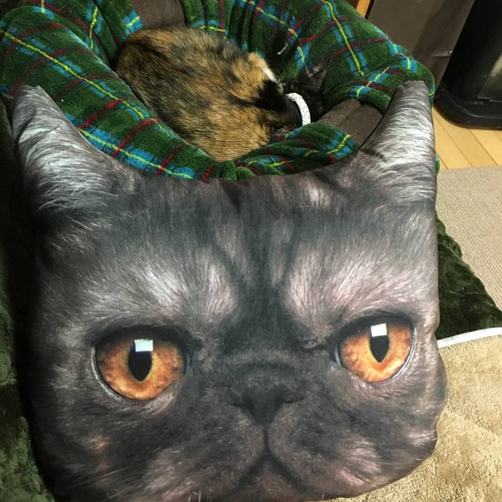 A6d1d25d ef6d 46e7 9b79 7577d7facadc