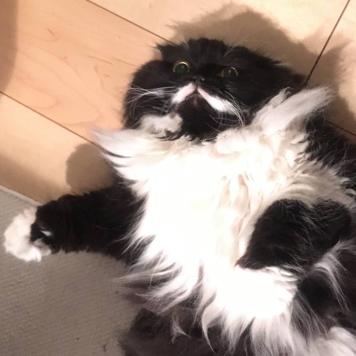 A6d253f9 b997 401e acb1 cf604206f059