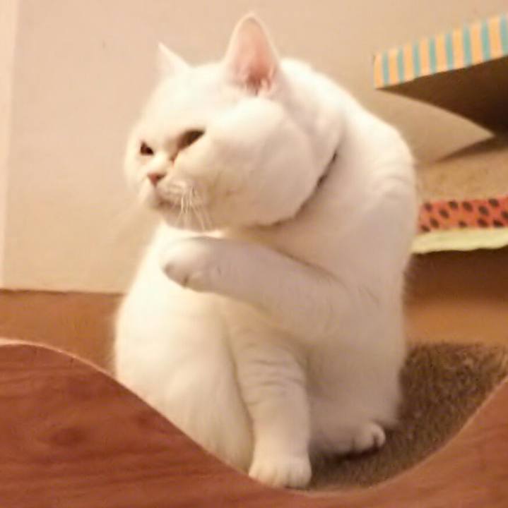 A6d28a5e fe05 4797 a2f1 90c6f78c8f4a