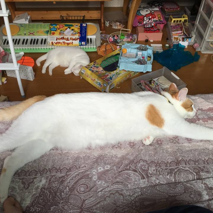 A6d2f83f 99bc 4d4b 9949 6a12def10594