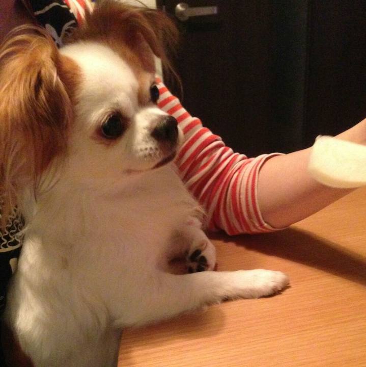 A6d306af 4046 4151 bff8 2943c4f9235d