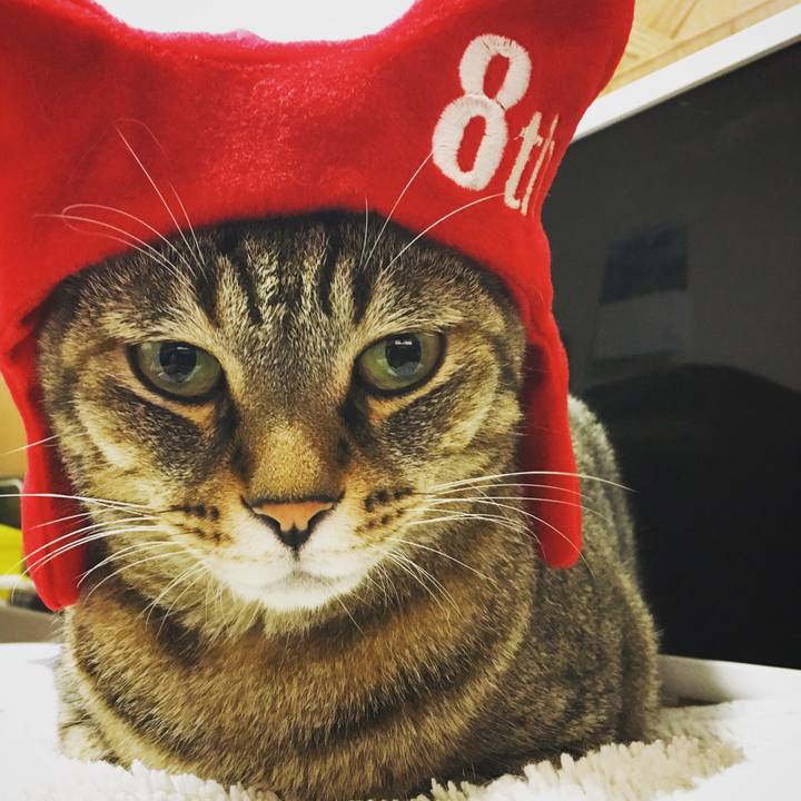 A6d325e1 af81 48a5 aa59 efa23894ccf3