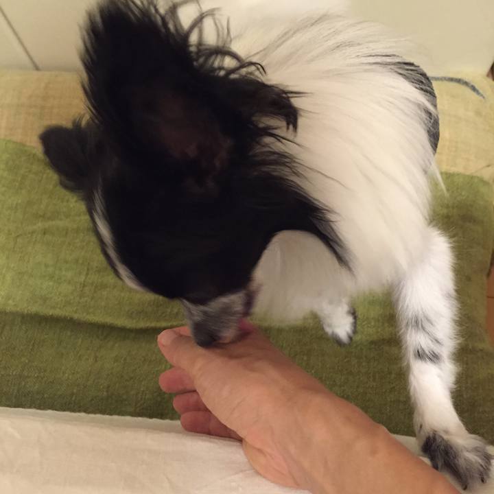 A6d39d92 e18c 4e7d ab86 2c3f3b0fc84b