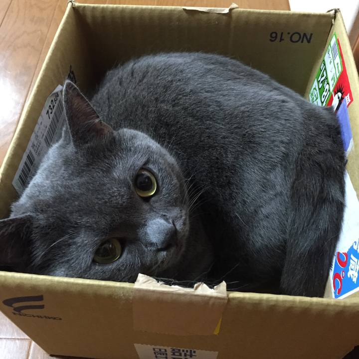 A6d486e4 310a 493c 9741 e9ff26193f73